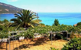 Hotel Kinira